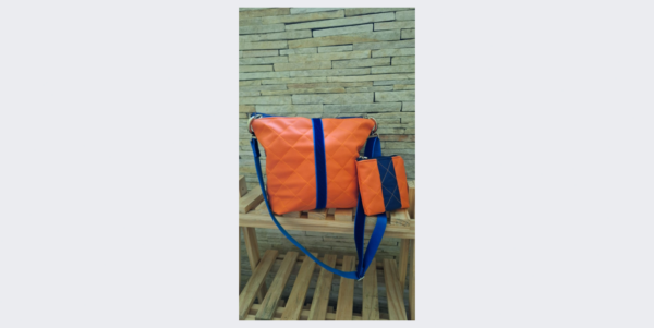 Bolsachila